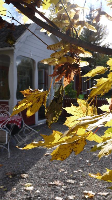 Brostugans Bed & Breakfast Järvsö Eksteriør bilde